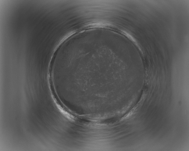 X0000074261042200608251221