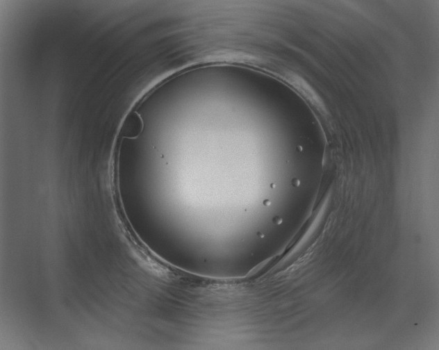 X0000074261044200608251221