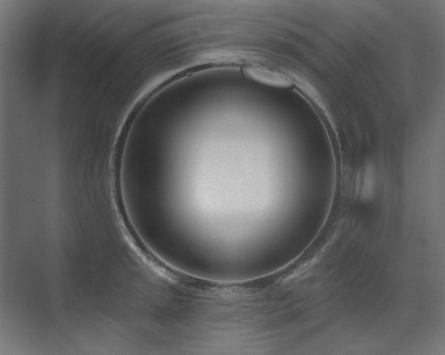 X0000074261045200608251221