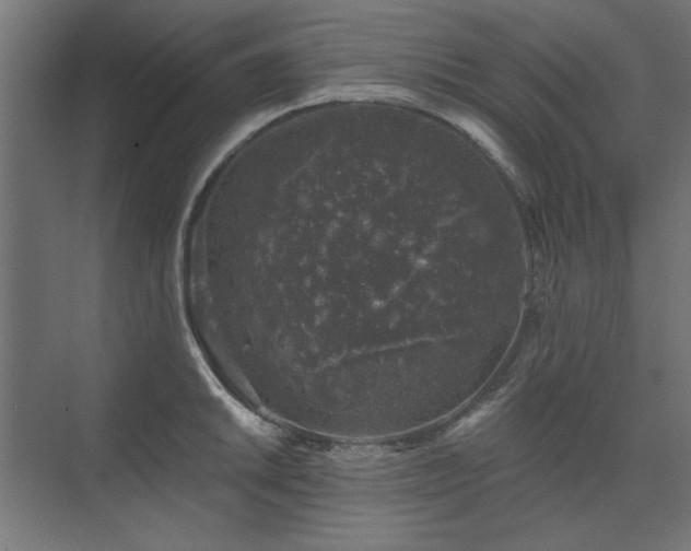 X0000074261046200608251221