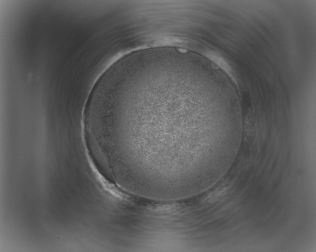 X0000074261047200608251221