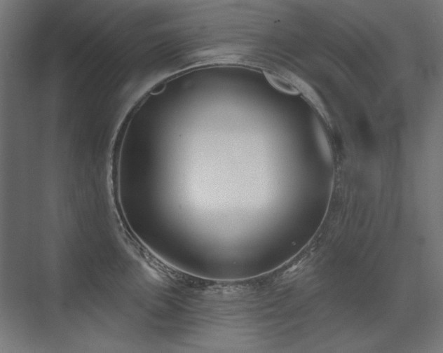 X0000074261051200608251221