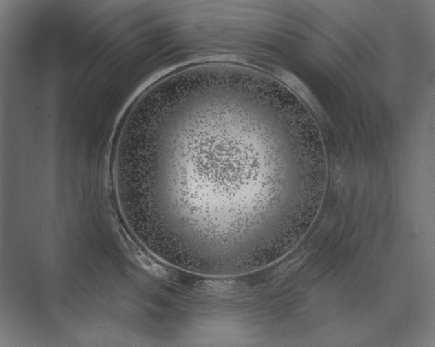 X0000074261052200608251221