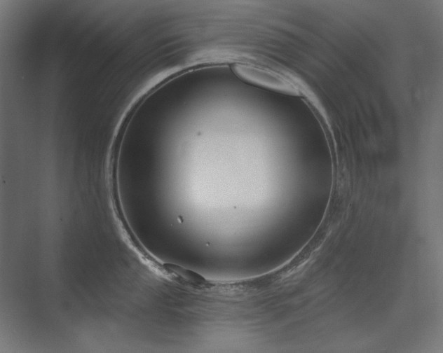 X0000074261053200608251221