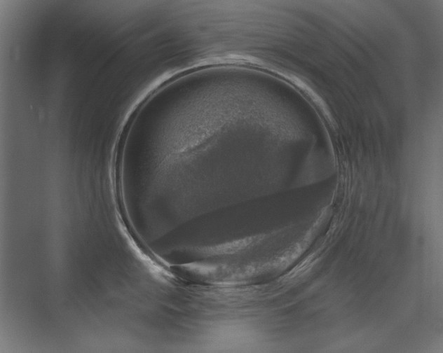 X0000074261054200608251221