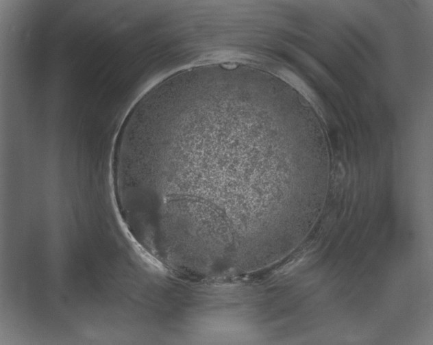 X0000074261055200608251221