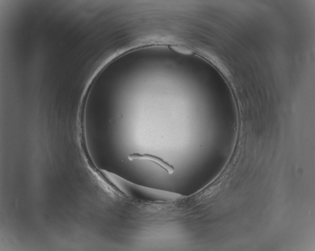 X0000074261056200608251221