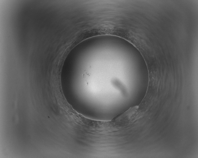 X0000074261057200608251220