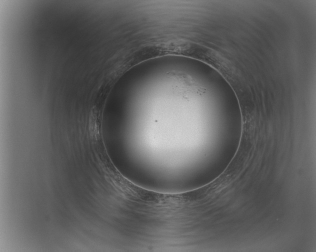 X0000074261058200608251220