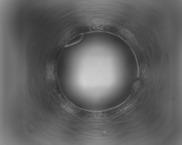 X0000074261060200608251220