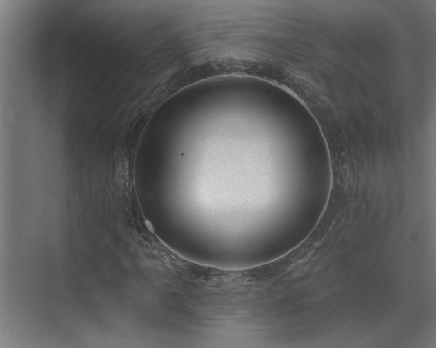 X0000074261061200608251220