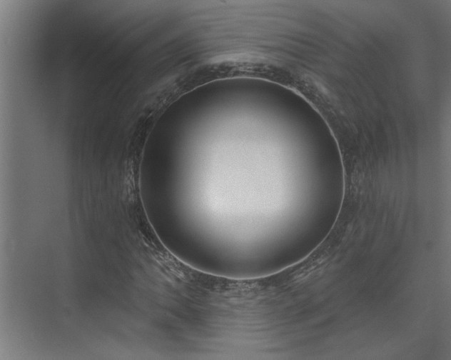 X0000074261062200608251220