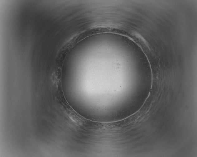 X0000074261064200608251220