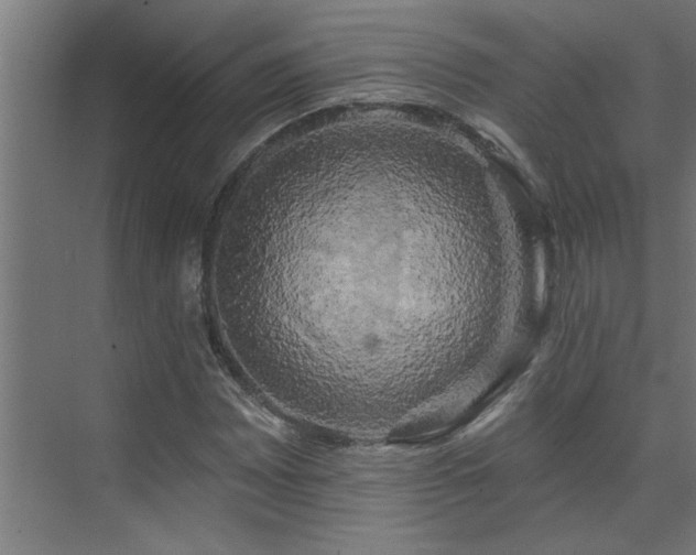 X0000074261065200608251220