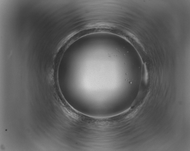 X0000074261066200608251220