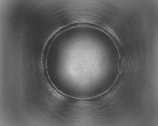 X0000074261068200608251220