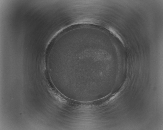 X0000074261069200608251220