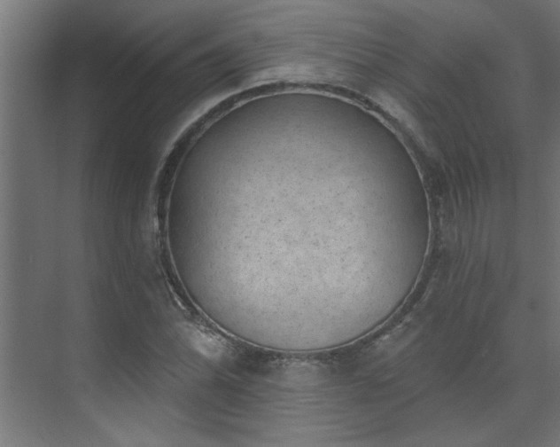 X0000074261070200608251220