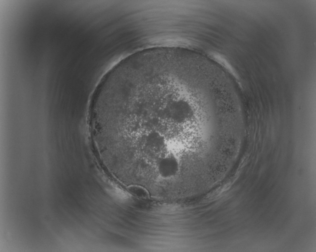 X0000074261071200608251220