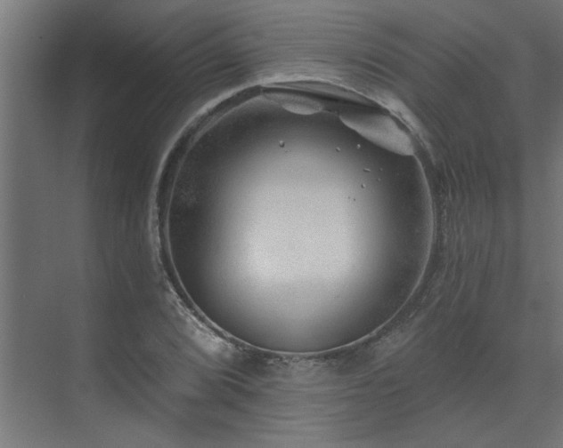 X0000074261072200608251220