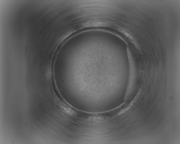 X0000074261073200608251220