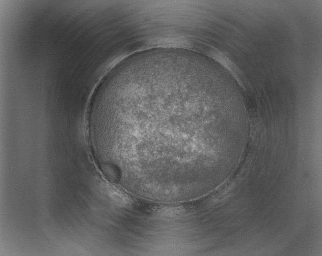 X0000074261074200608251220