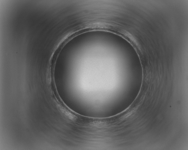 X0000074261075200608251220