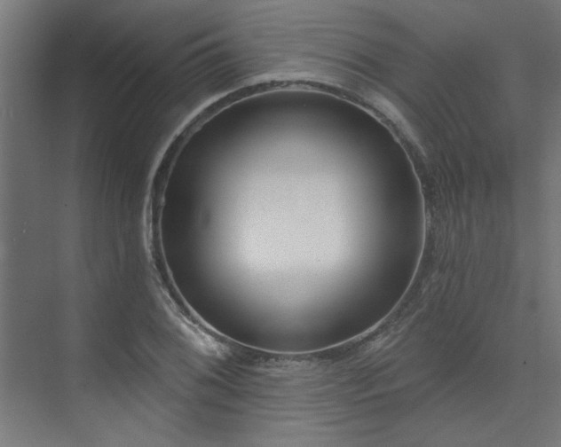 X0000074261076200608251220