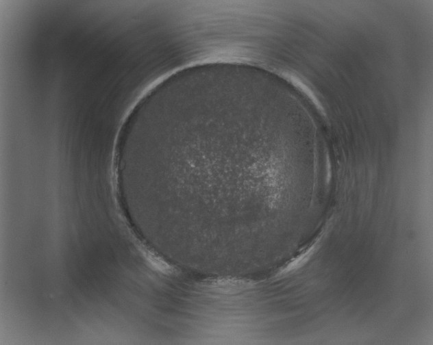 X0000074261077200608251220