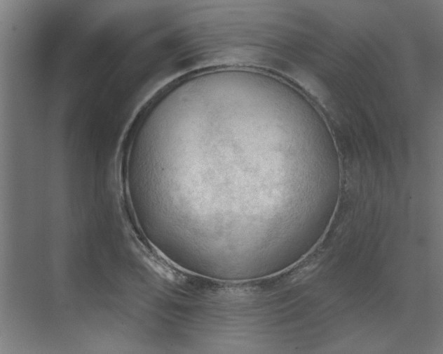 X0000074261078200608251220