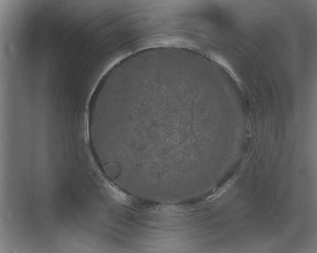 X0000074261079200608251220