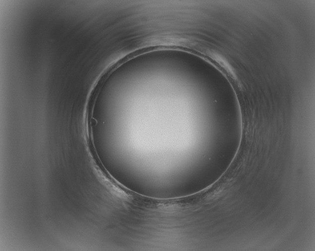 X0000074261080200608251220