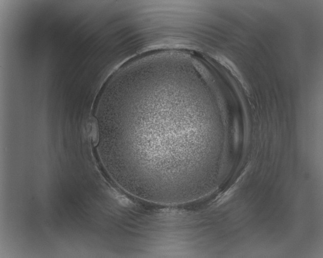 X0000074261081200608251220