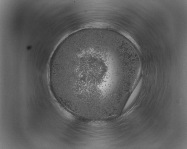 X0000074261083200608251220