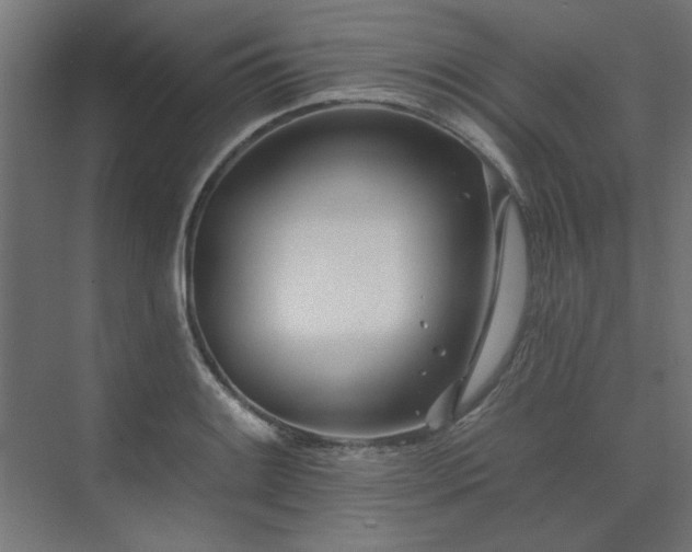 X0000074261084200608251220