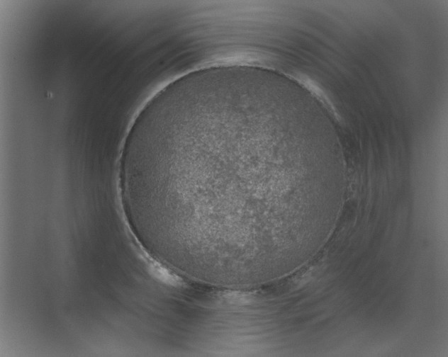 X0000074261086200608251220