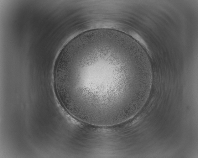 X0000074261088200608251220