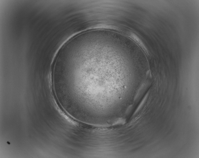 X0000074261092200608251220