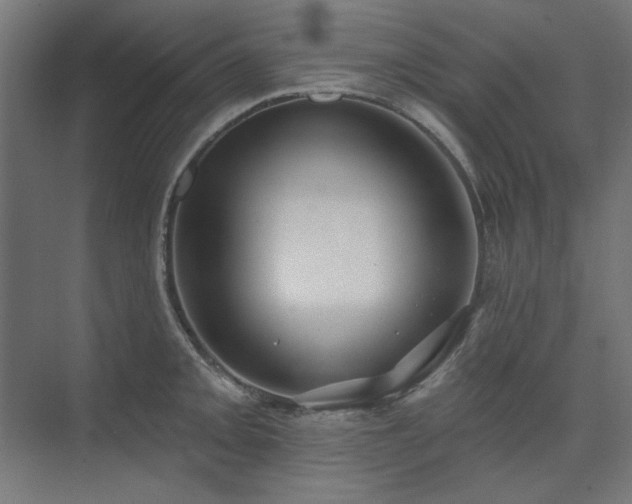 X0000074261093200608251220