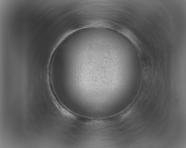 X0000074261094200608251220