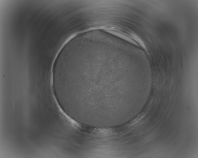 X0000074261095200608251220