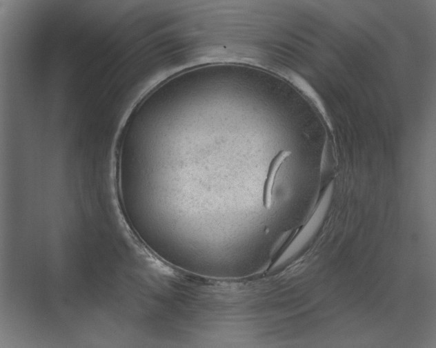 X0000074261096200608251220