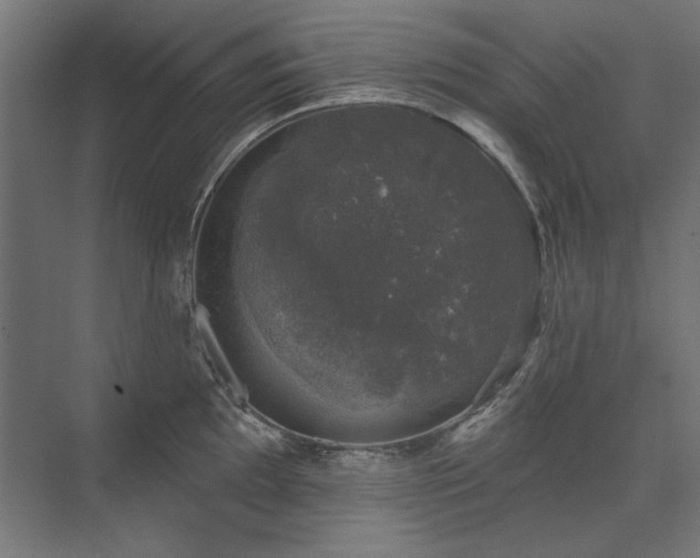 X0000074261097200608251220