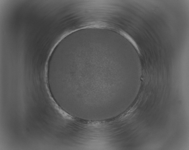 X0000074261099200608251219