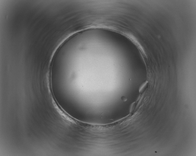 X0000074261100200608251219