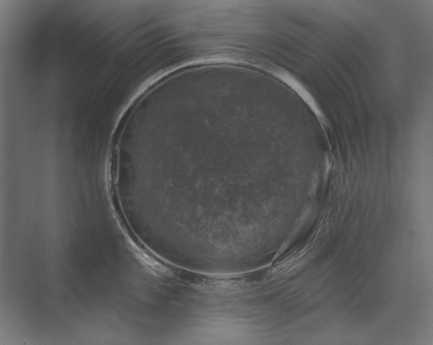 X0000074261101200608251219