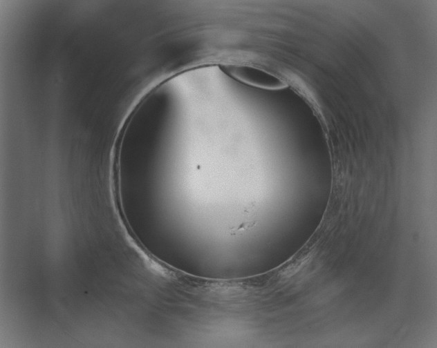 X0000074261103200608251219