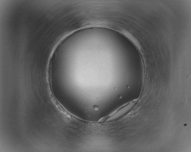 X0000074261104200608251219