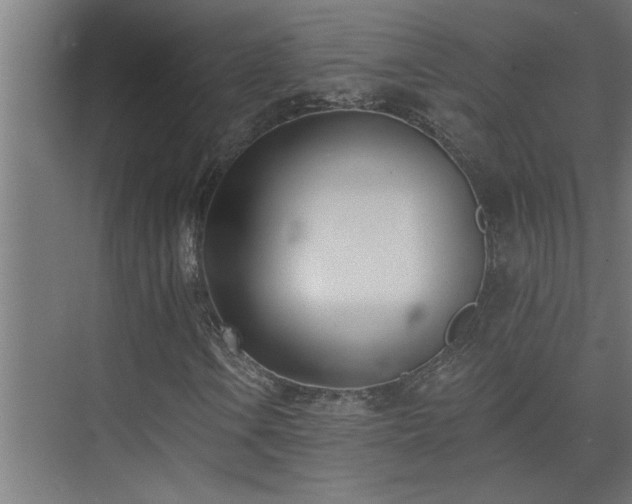 X0000074261106200608251219