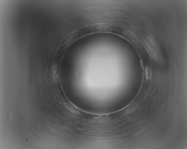 X0000074261107200608251219